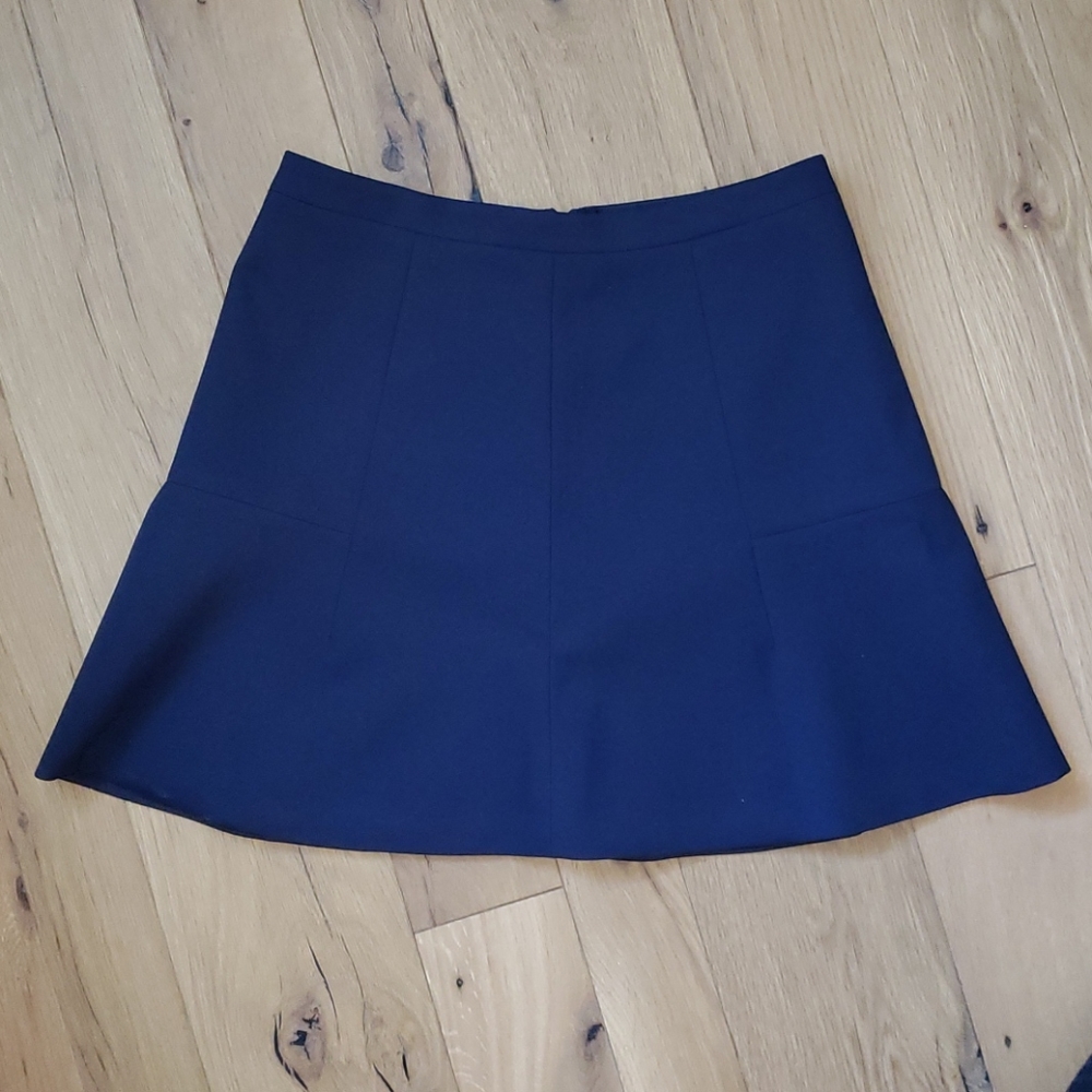 J. Crew fit & flare mini